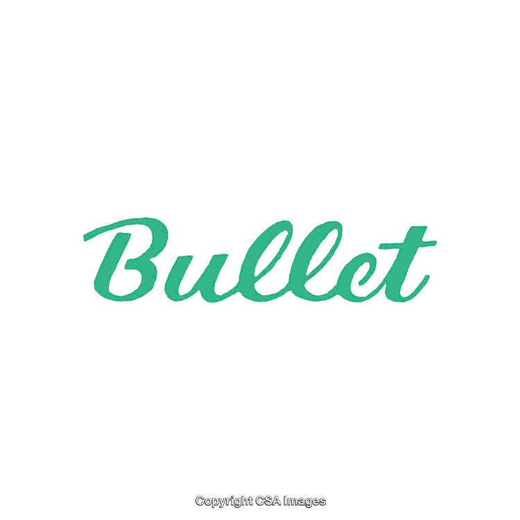 Bold Green Cursive Bullet Text on a Clean White Background