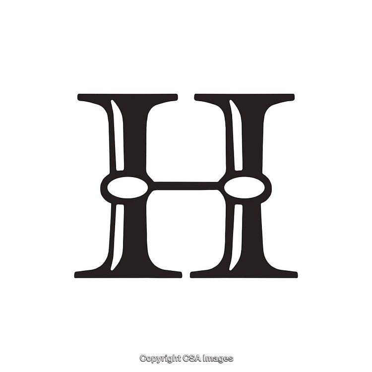 Stylized Detailed Black Letter H on White Background