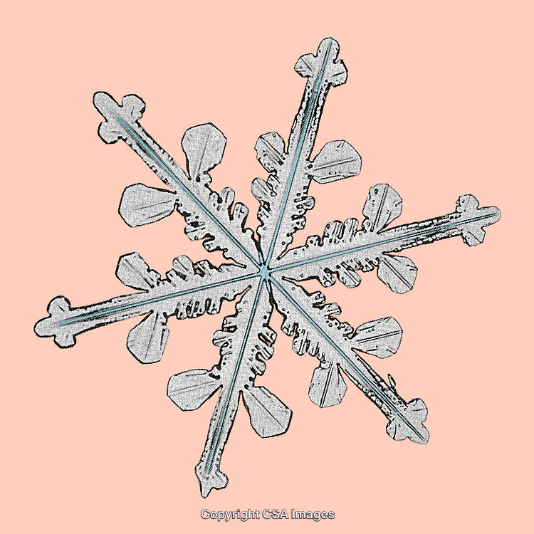 Detailed Snowflake Design on Soft Pink Background in Artistic Style