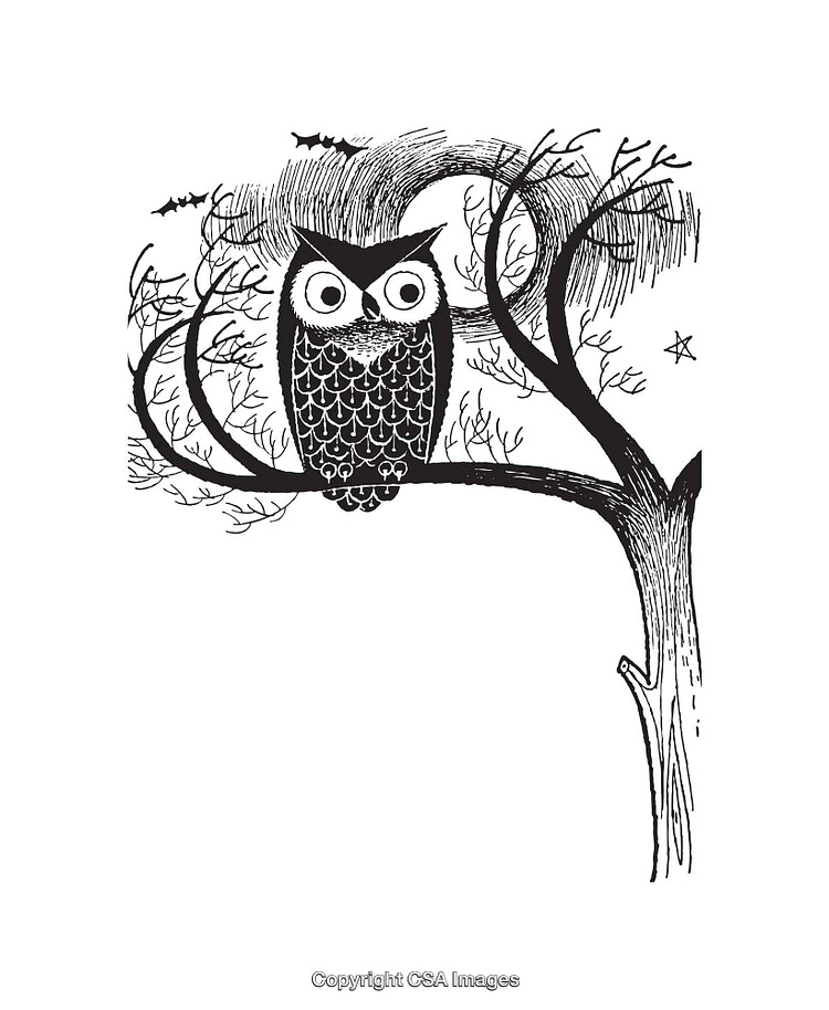 Black and White Line Art of an Owl Resting on a Tree Branch