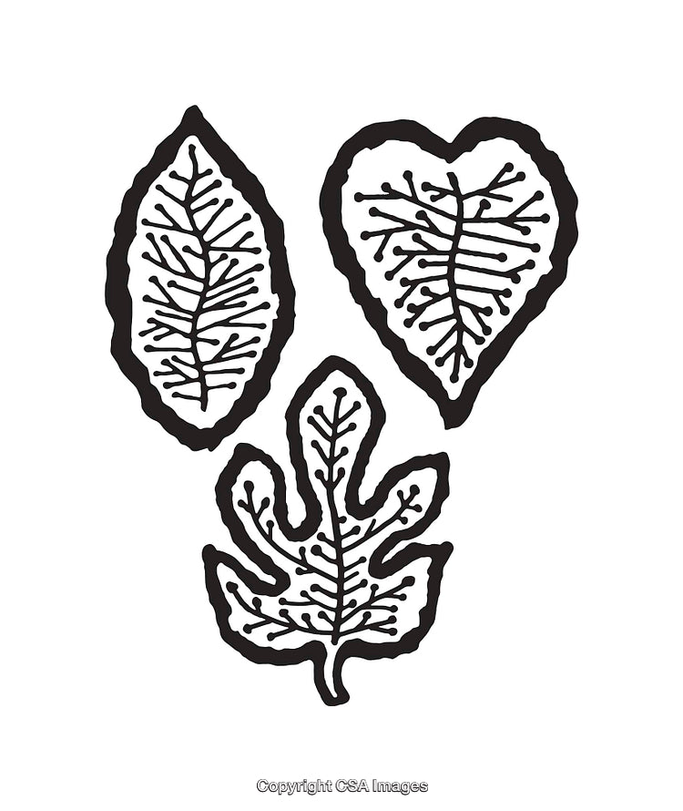 Black and White Line Art Illustrations of Stylized Tree Leaves
