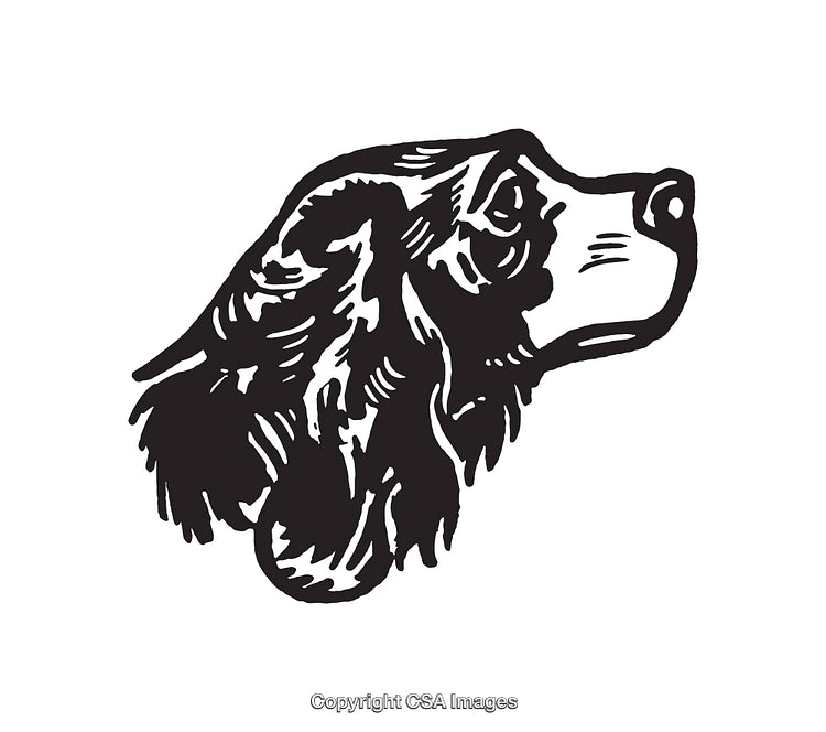 Detailed Black and White Line Art Illustration of a Dog's Head