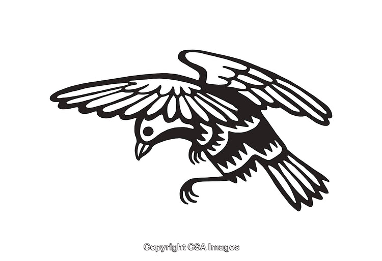 Black and White Line Art Illustration of a Bird in Flight