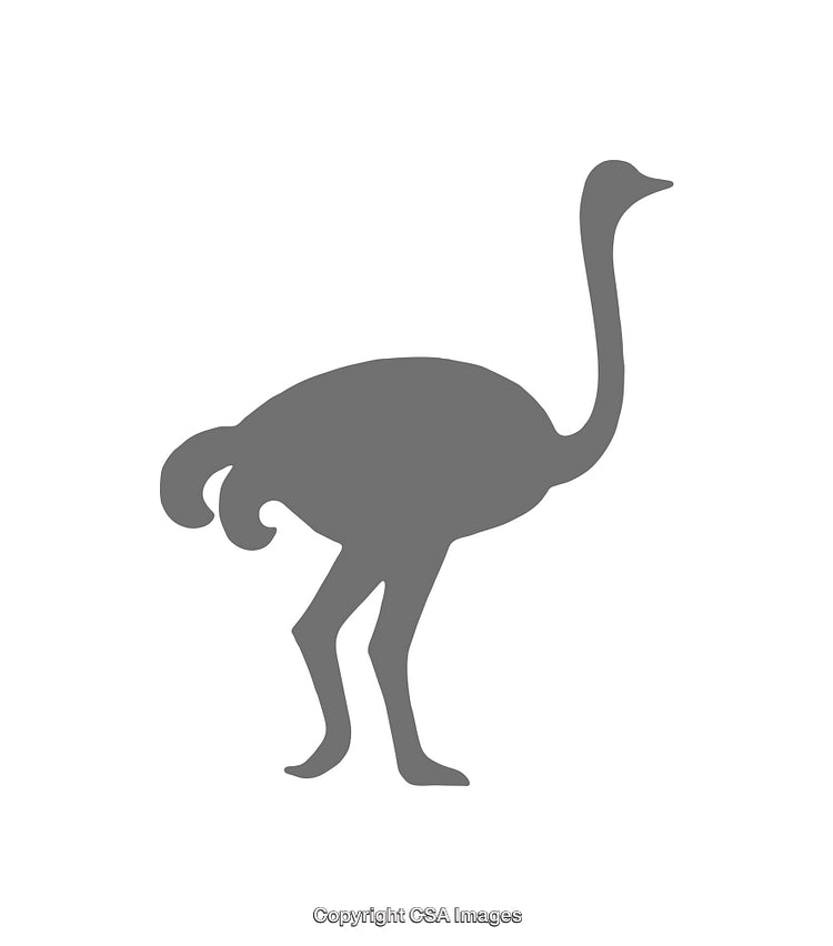 Silhouette Icon of a Standing Ostrich with Simple Design