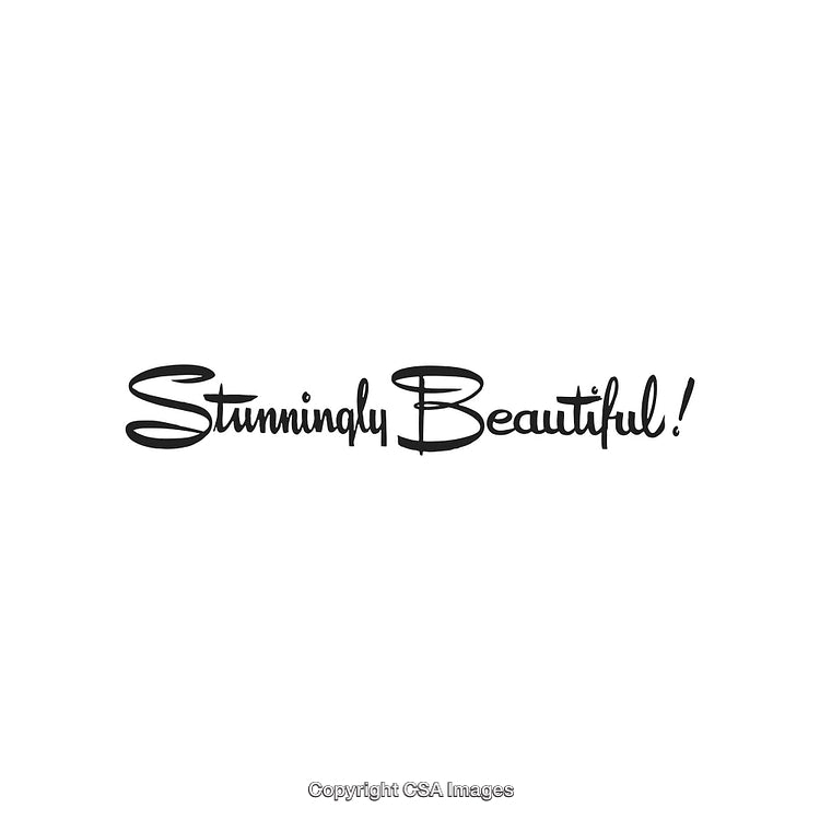 Stunningly Beautiful Text in Elegant Font on a White Background