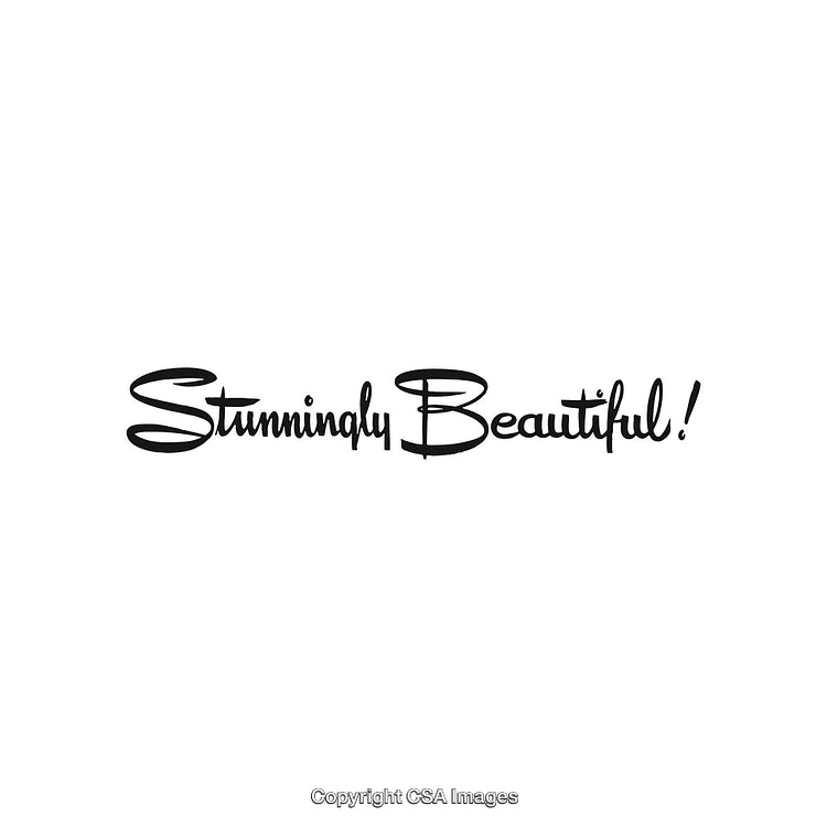 Stunningly Beautiful Text in Elegant Font on a White Background