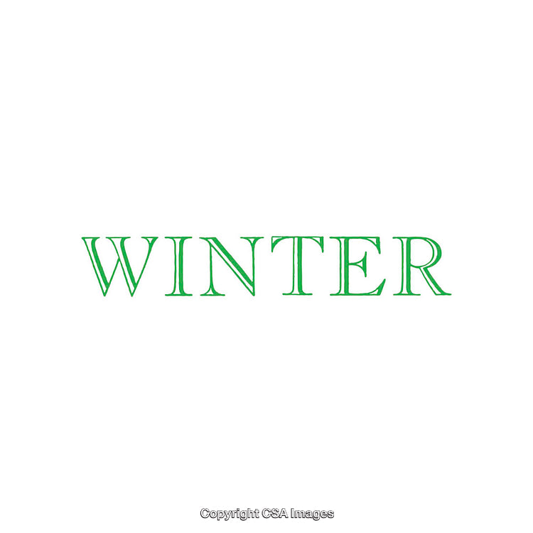 Green Winter-Themed Minimalistic Text on White Background