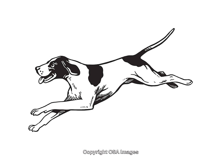 Black And White Line Art of a Running Dog Illustration