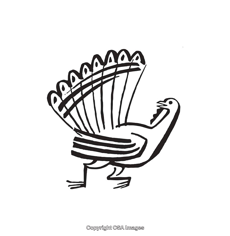 Black and White Line Art of a Stylized Bird with Open Tail Feathers