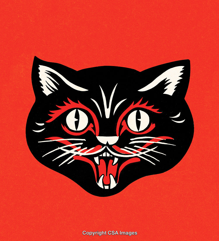Expressive Black Cat Graphic Artwork on Bold Red Background