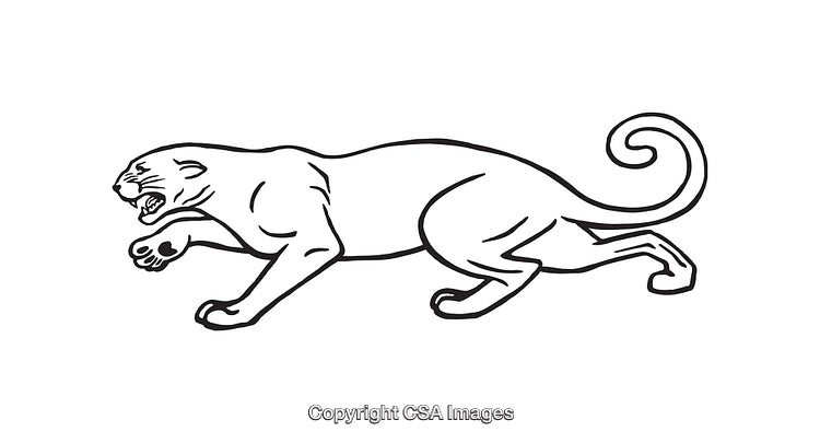 Black and White Line Art of a Prowling Big Cat Illustration