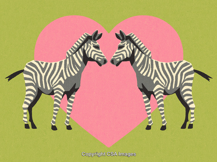 Two Zebras Facing Each Other Against Heart Backdrop Symbolizing Love and Unity