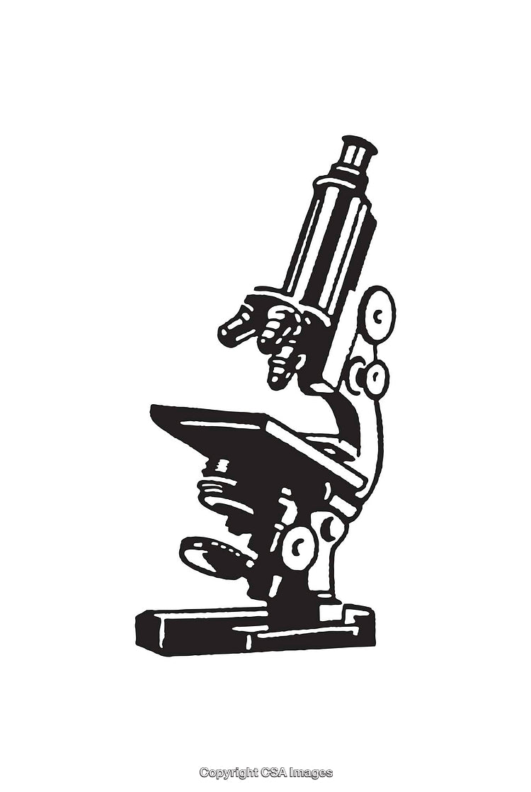 Detailed Black and White Line Drawing of a Scientific Microscope