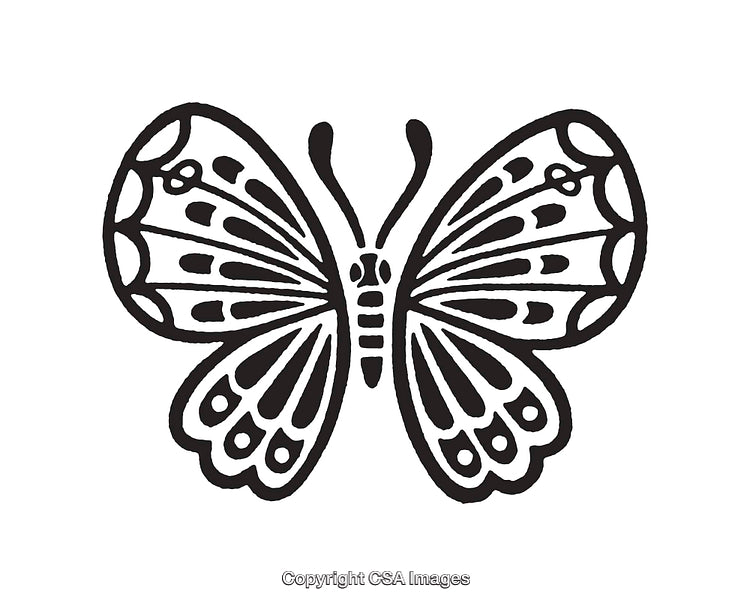 Detailed Black and White Line Art Butterfly Illustration