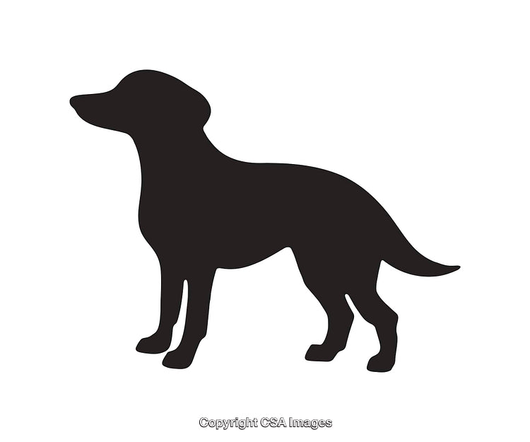 Black Silhouette of Standing Dog Icon on White Background