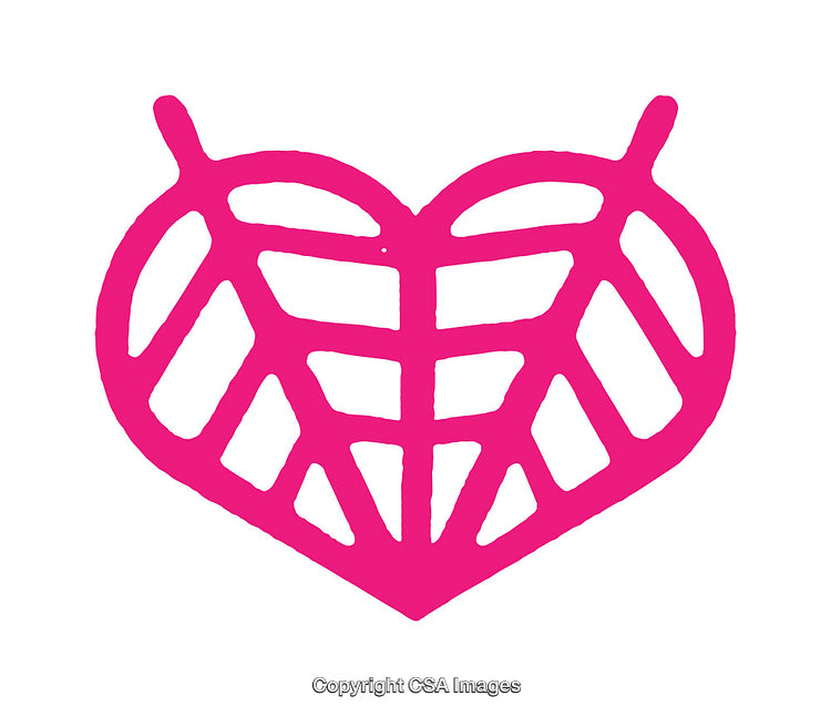 Pink Heart Symbol with Leaf Pattern Inside on White Background