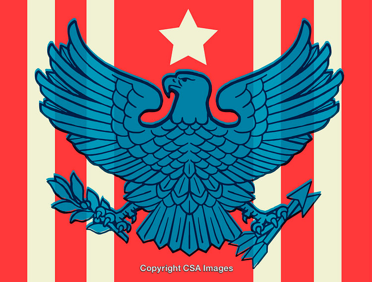 Vivid Patriotic Eagle Design Displaying Strength and National Unity