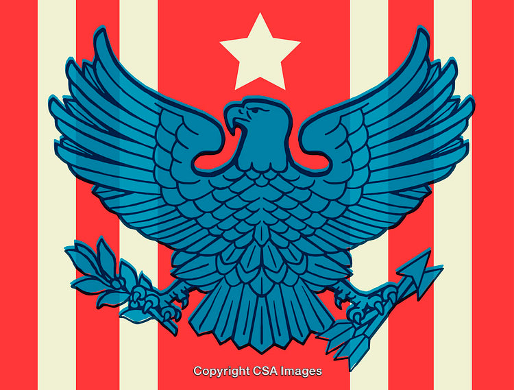 Vivid Patriotic Eagle Design Displaying Strength and National Unity