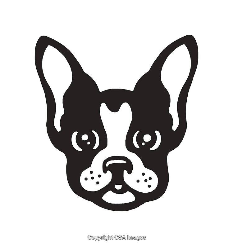 Black and White Line Art of a French Bulldog's Face