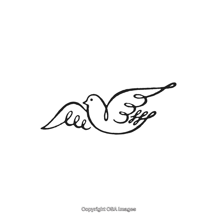 Illustration of a Dove in Simple Black and White Line Art