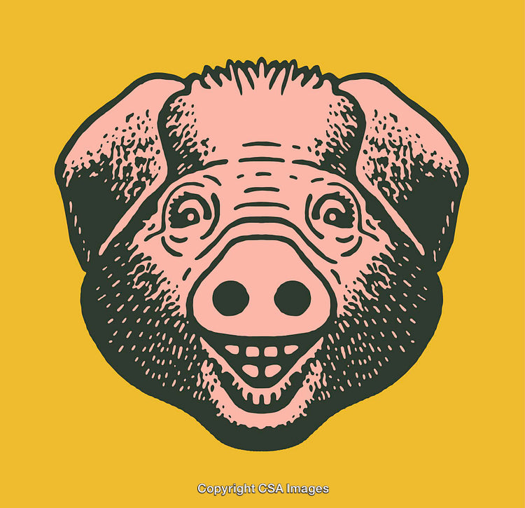 Smiling Pig Illustration on Yellow Background in Line Art Style