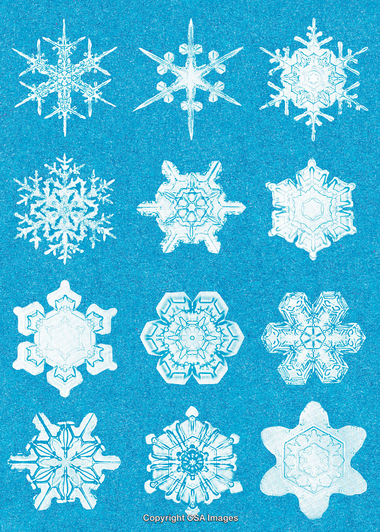 Collection of Ice Crystals With Unique Snowflake Patterns on Blue Background