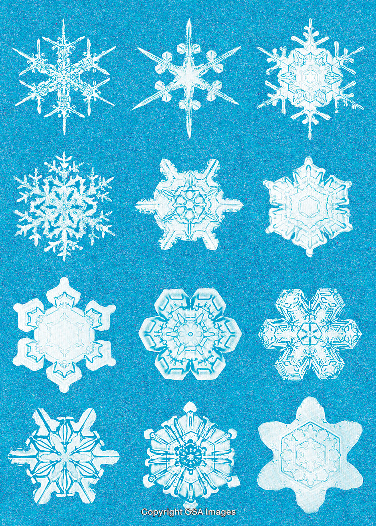 Collection of Ice Crystals With Unique Snowflake Patterns on Blue Background