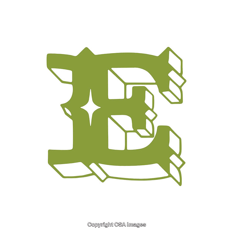 Stylized Green Letter E with Decorative Design Elements on White