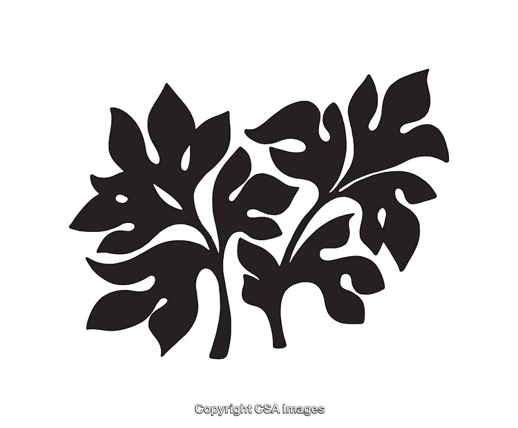 Black and White Line Art Illustration of Botanical Leaf Shape