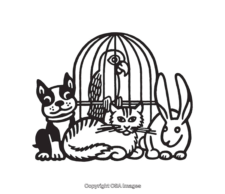 Black And White Line Art Illustration of Pets and a Caged Bird
