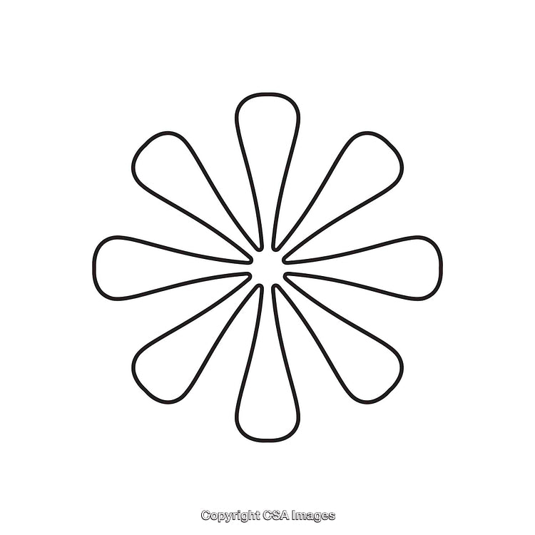 Abstract Black and White Floral Design With Minimalist Line Art Style