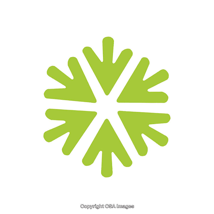 Green Abstract Shape Resembling Snowflake or Star Design