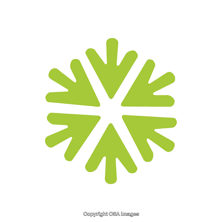 Green Abstract Shape Resembling Snowflake or Star Design