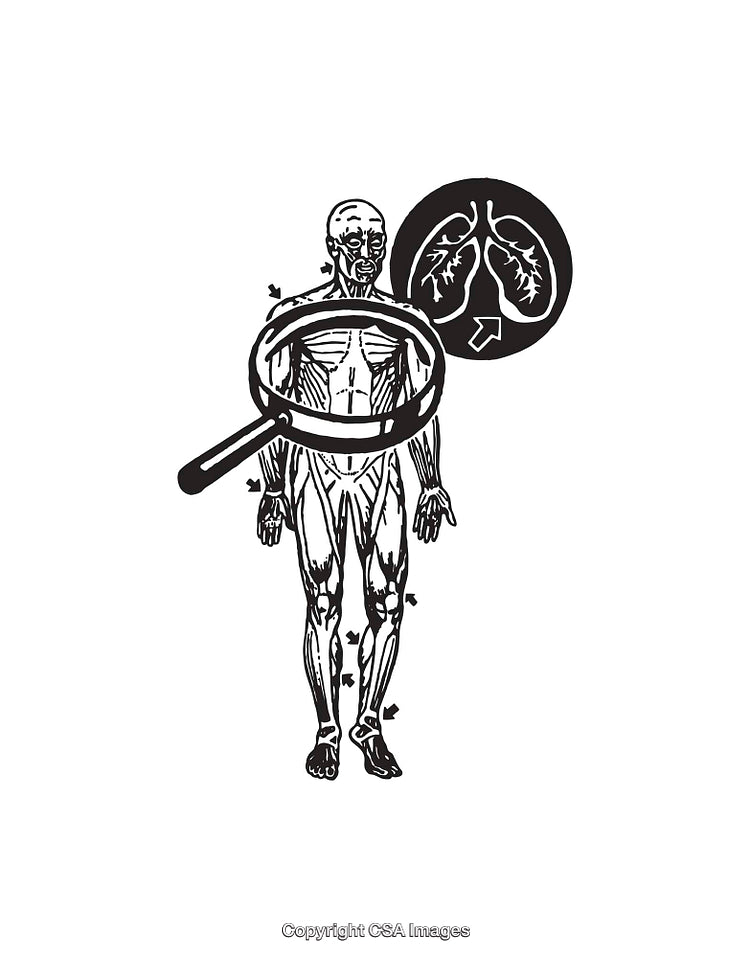 Black and White Line Art of Human Anatomy with Magnified Detail