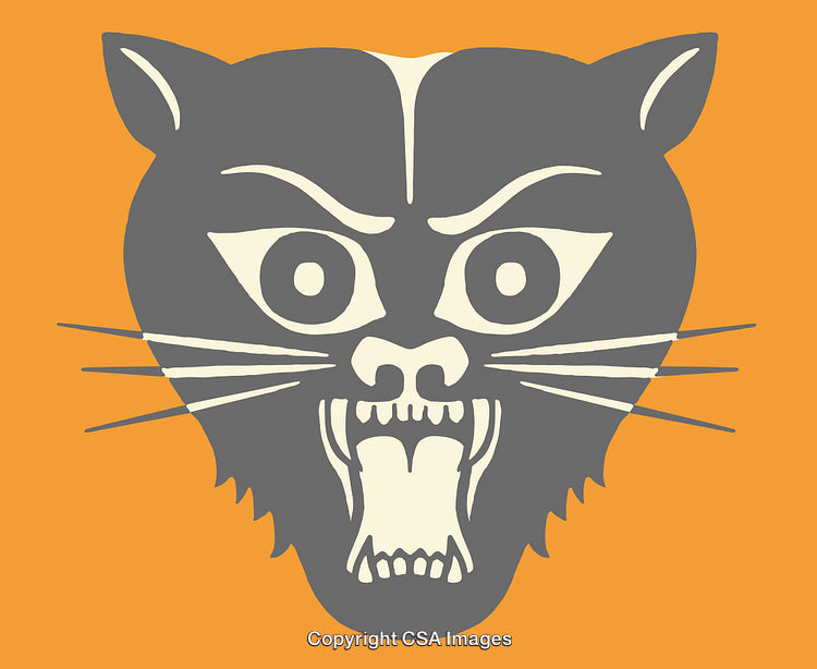 Fierce Cat Illustration on Vibrant Orange Background