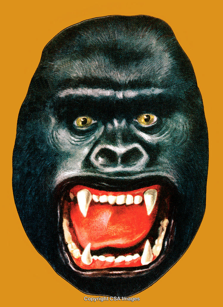 Illustration of a Roaring Gorilla with Sharp Teeth on Solid Background