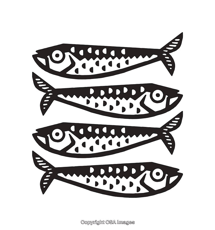 Black and White Line Art Illustration of Four Stylized Fish
