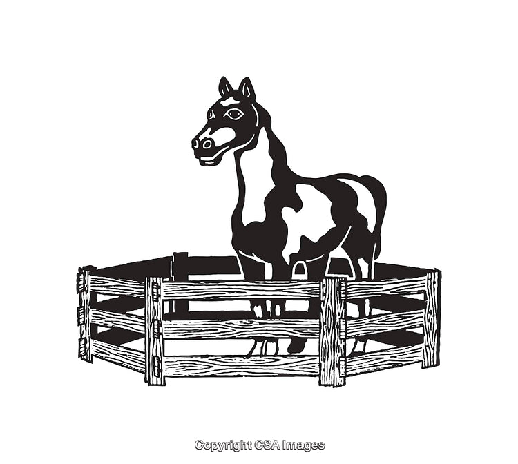 Black and White Illustration of a Horse in a Fenced Enclosure