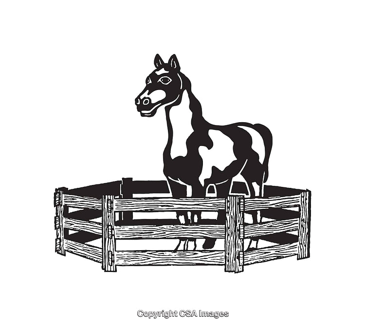 Black and White Illustration of a Horse in a Fenced Enclosure