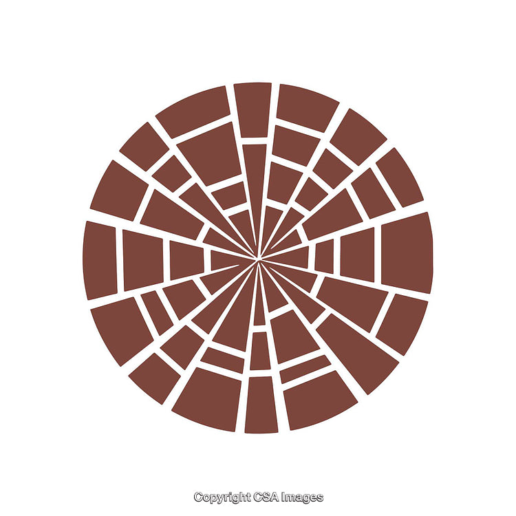 Abstract Circular Mosaic Design with Radial Segments in Brown and White