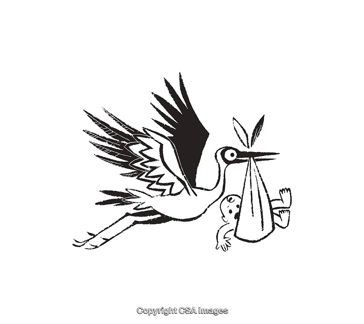 Black and White Stork Carrying Baby in Traditional Line Art Style
