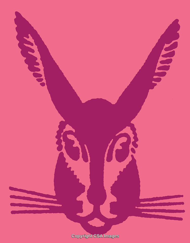 Stylized Line Art Illustration of a Rabbit on a Vibrant Pink Background