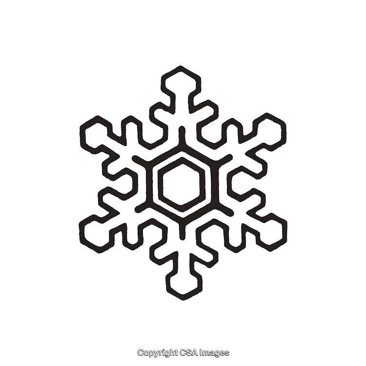 Black and White Snowflake Symbol with Geometric Hexagonal Pattern