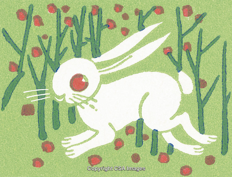 Illustration of a White Rabbit in a Forest With Red Berries