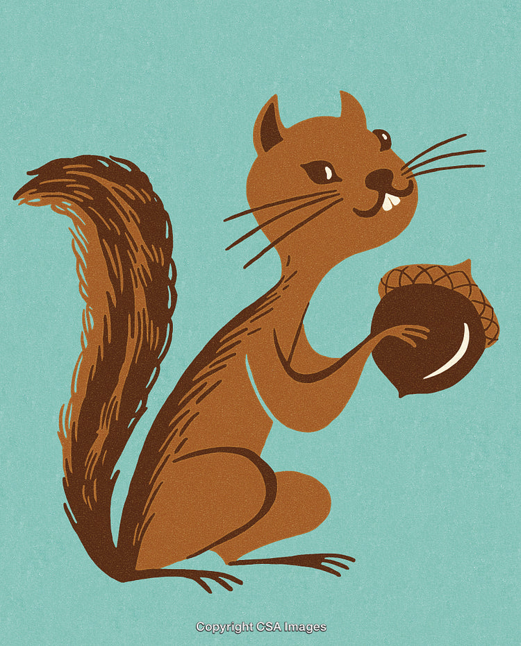 Illustration of Cheerful Squirrel Holding an Acorn on Blue Background