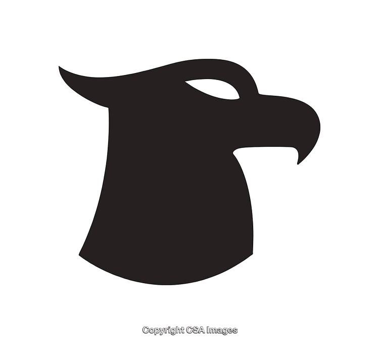 Silhouette Eagle Head Icon in Modern Black and White Design