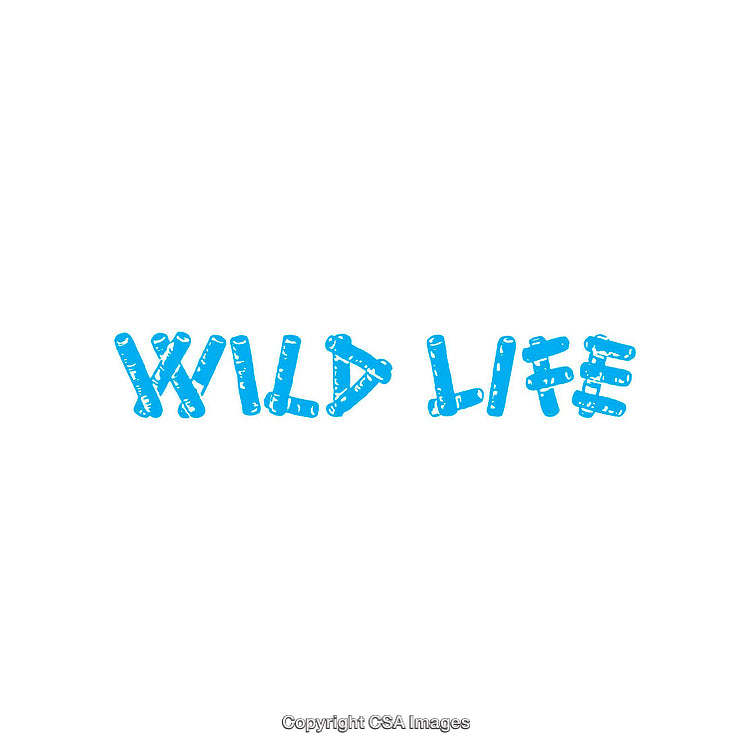 Blue Wild Life Themed Text Design on White Background