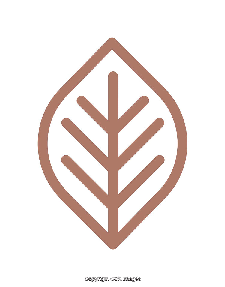 Minimalistic Brown Leaf Icon with Clean Lines on White Background