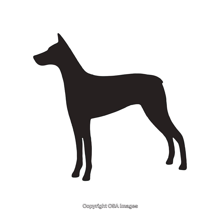 Silhouette of a Standing Dog in Side View for Pet Illustration