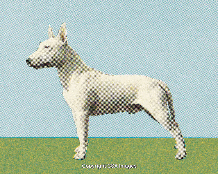 Stylized Profile of a White Dog in Retro Dot Screen Style